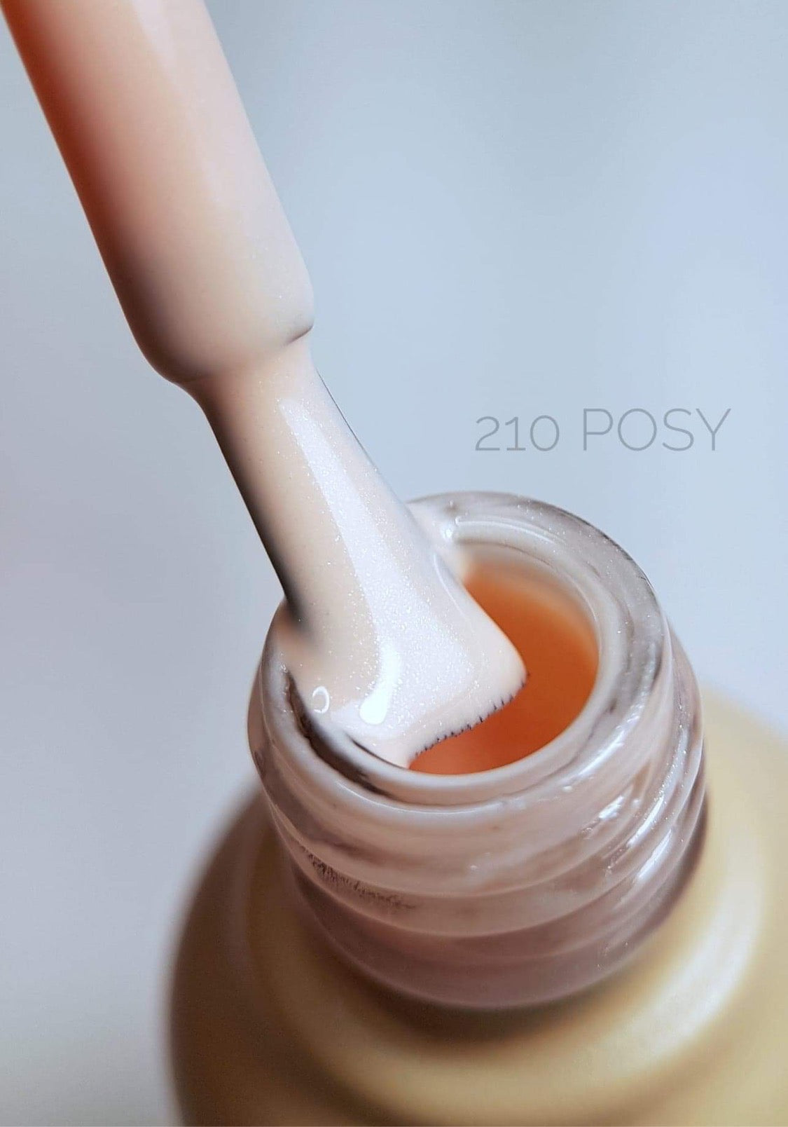 Ritzy Nails “Nude mood” collection of 10 colors x 9ml